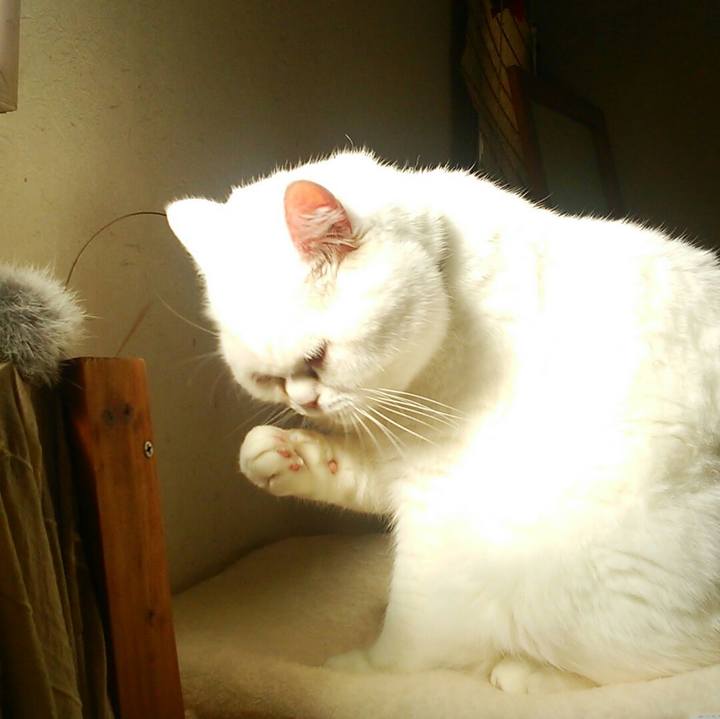 56e39189 7011 492e b81c cf82a3789ae6