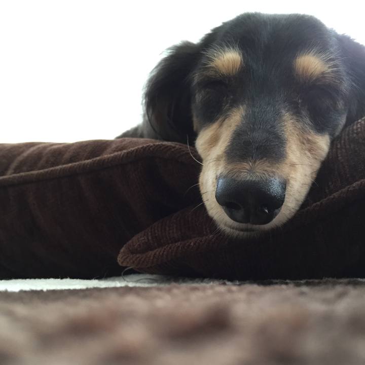 56e3a32a 697b 4bf9 9a34 91a8a8dd51d6