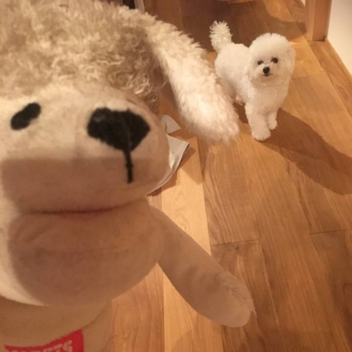 56e423ed 790e 4ea3 b79f 7e22411846ca