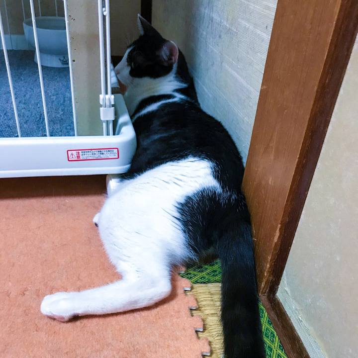 56e42da5 2b7a 420a 97d1 970bd174778b