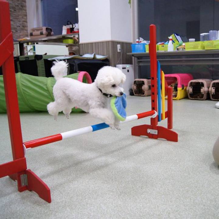 56e45e5b d5ee 4dc4 bebc 0d06c1b49917