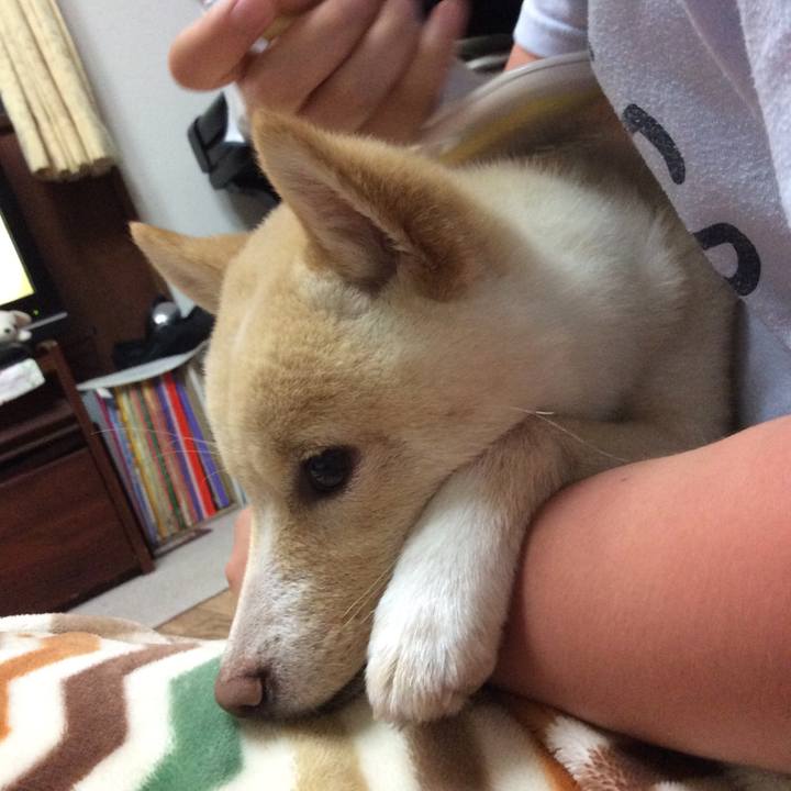 56e48ac4 ab4c 4cb7 8322 349e71393a52