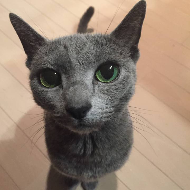 56e541d9 76a5 41c5 82af c8ca153c07c7