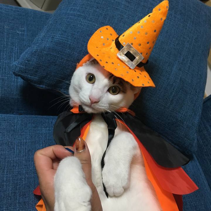 56e55197 dd0b 4144 b5fc d6ec83b4097a