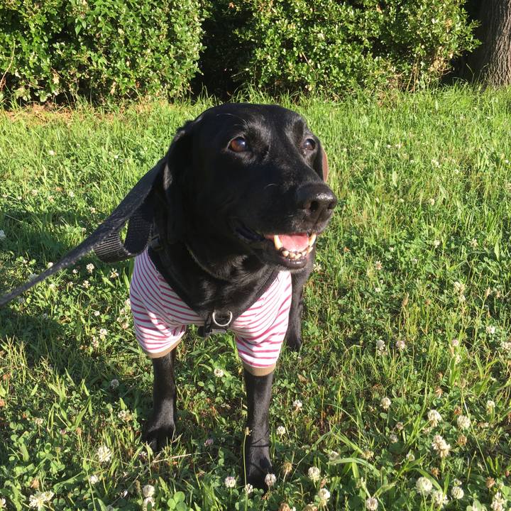 56e5682b 9906 44e7 bcb6 03e6ba9210e2