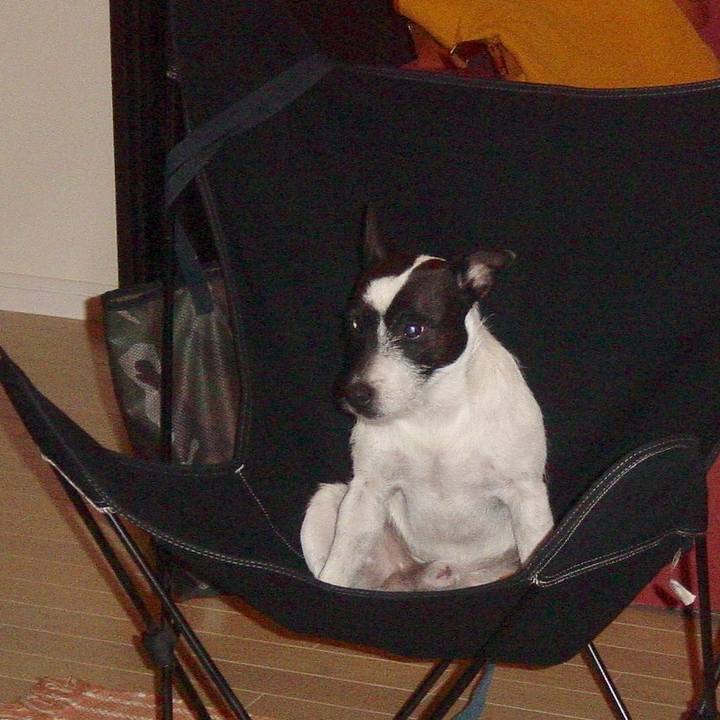 56e5be33 a46e 4420 b486 d60e615988f3