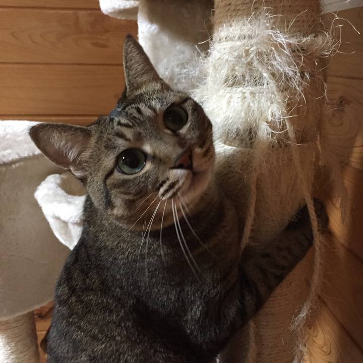 56e5f2d0 05de 422c ab96 256a7088e1d8