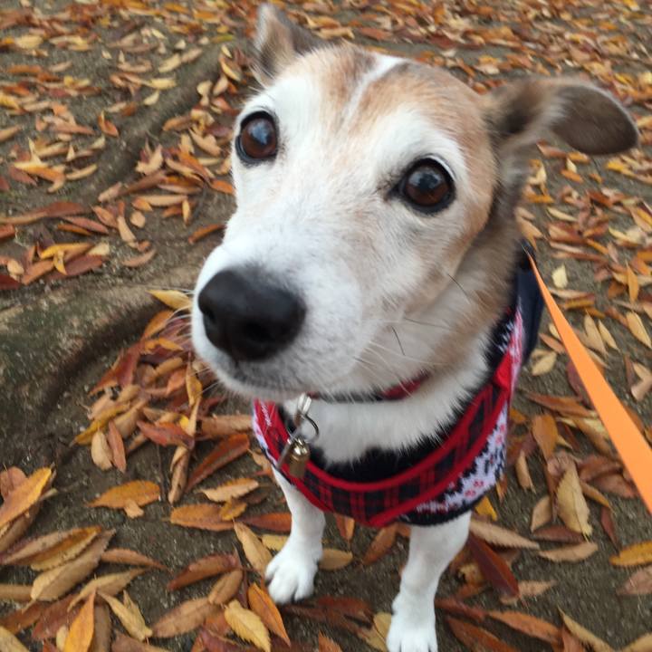 56e647c8 e09d 48f3 8fff ee7525279bf0