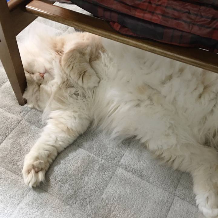 56e6f458 5152 429d ae9c eaf8ff64f615