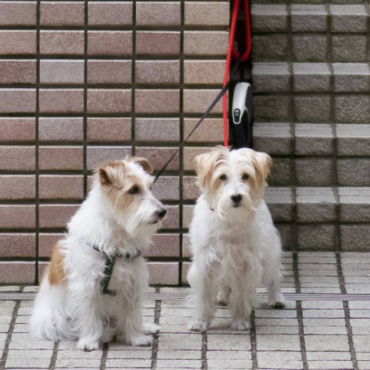 56e76d48 5ae7 4e36 86f1 73570717d53d