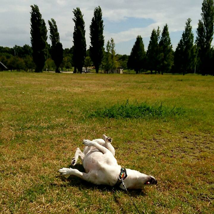 56e7cd5e 53e2 4750 92a1 ee54f3eb0026