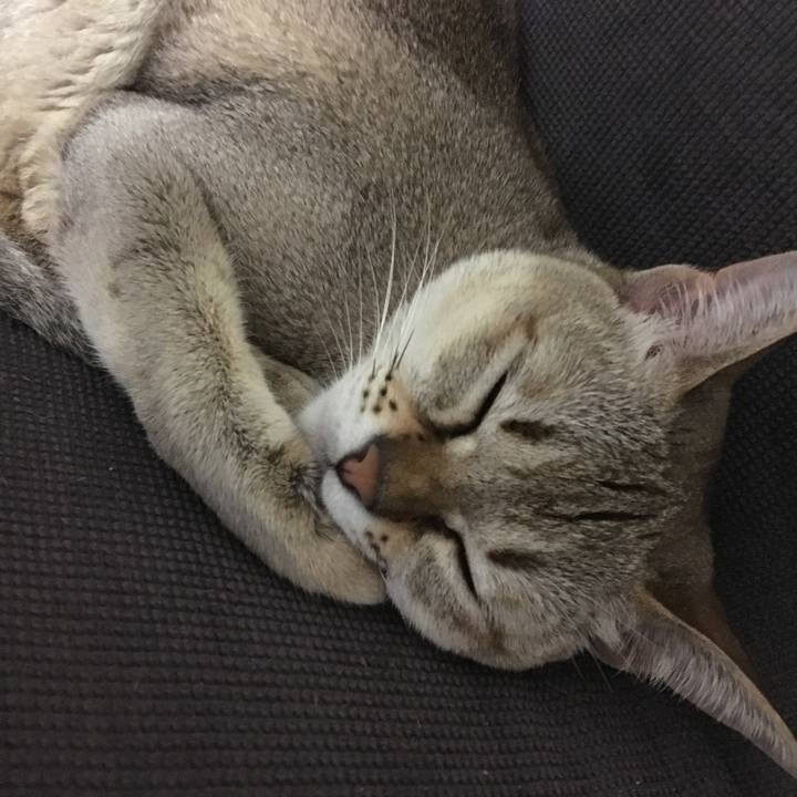 56e844ca e340 40fe 8de9 eea02e2b85d9