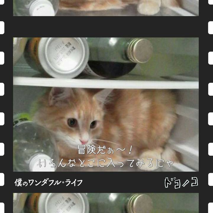 56e87eef ffc3 4443 ba24 c398d8db3b58