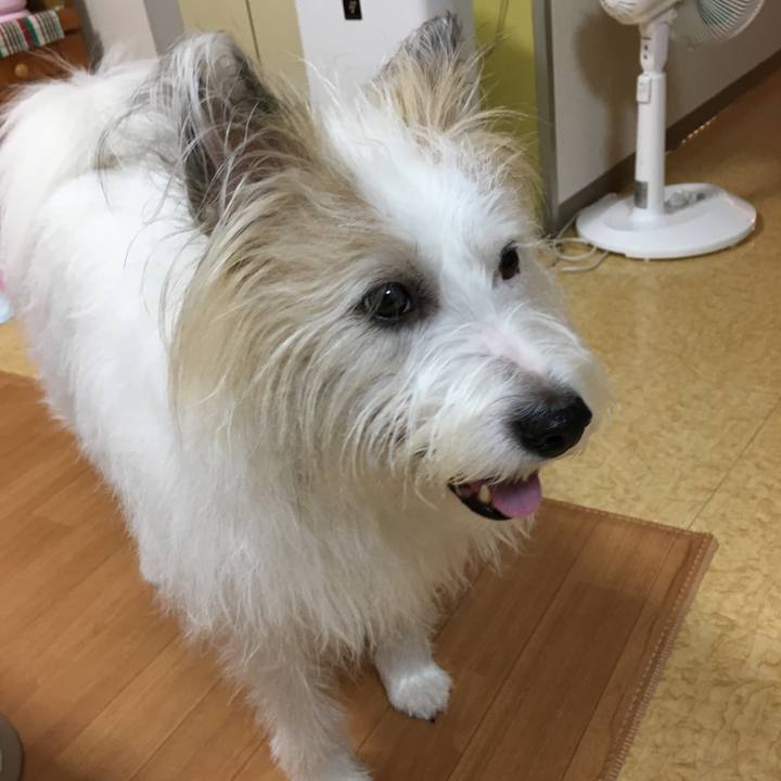 56e93599 7774 42e6 9f90 4f847a202b11