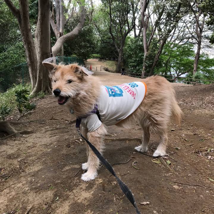 56e9d8cc ed04 48dc b58c 887a9eb4be95