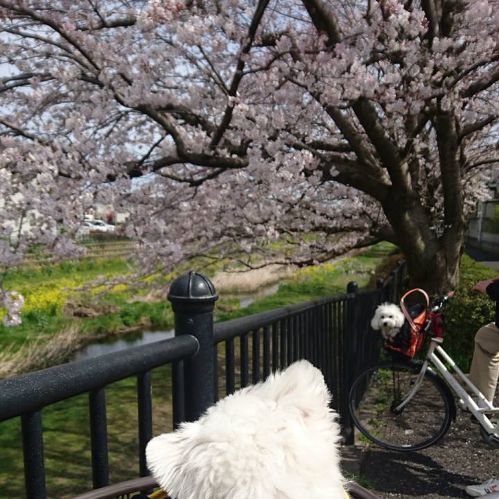 56eaf43c d5a1 4cc5 ae5a fffa7d9c79d7