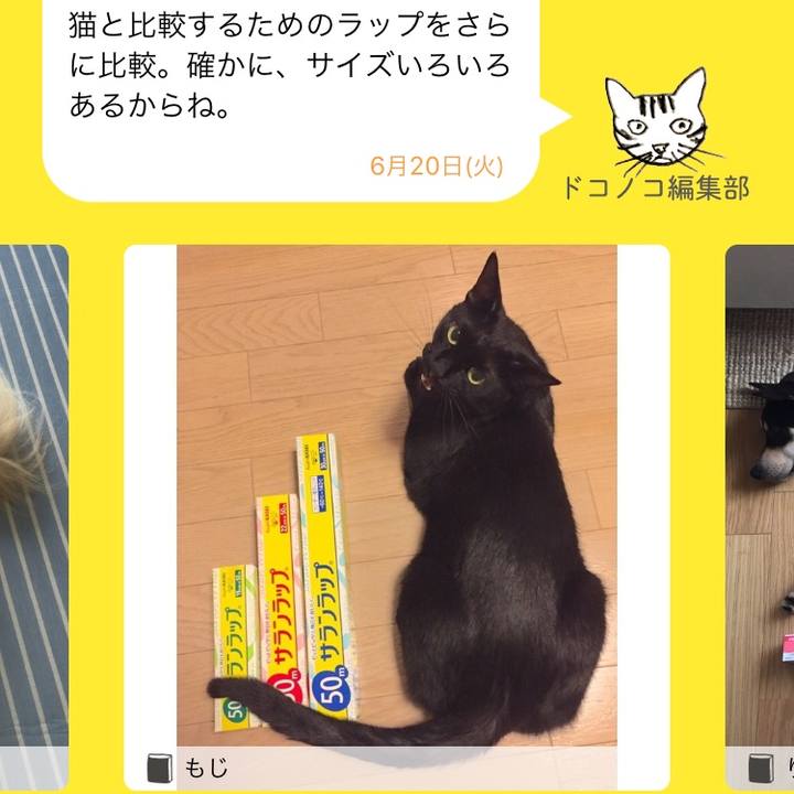 56eb5c39 d5c3 4903 9ea4 6883682017cc