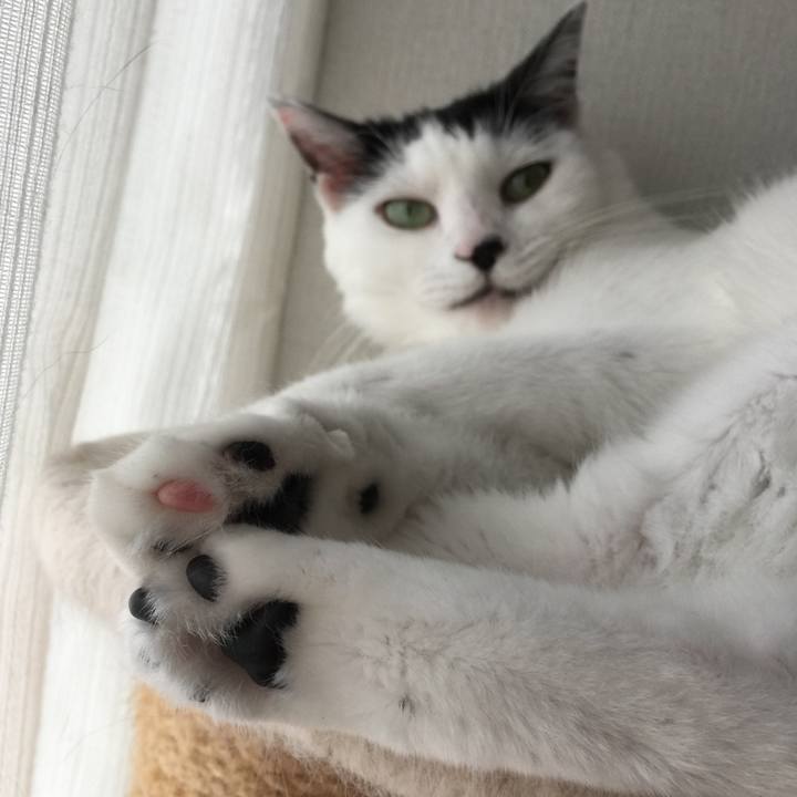 56ebe04f 0afd 437f 8491 47f3739fcd94