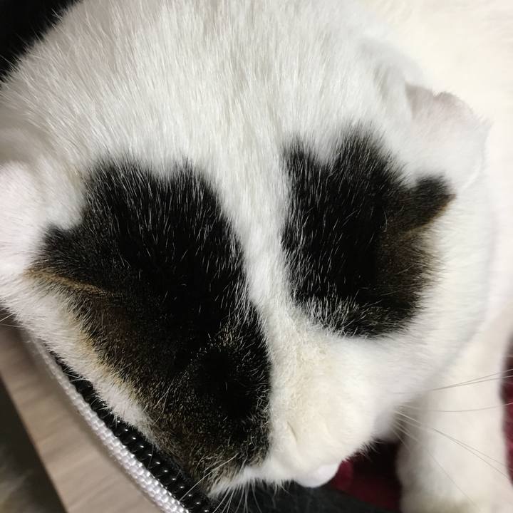 56ec1de0 9d10 420b 8f82 cc64608cd10a