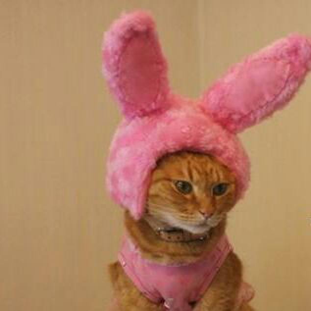 56ec8280 3069 45ba a72f 0aaf8d5664d9