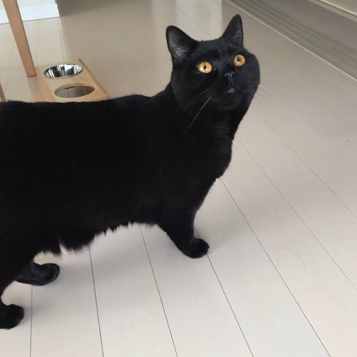 56ecdf8f 440c 4391 b538 b38c094033d9