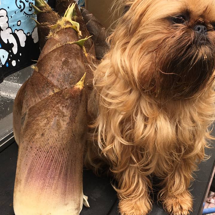 56ece9e8 f8b0 4bc7 a1c7 484bb94d3ec7