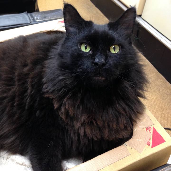 56ecec8b 1034 4c69 8b76 5767d31130ca