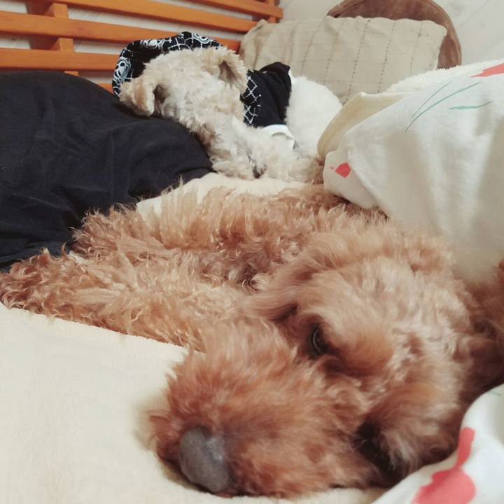 56ed09f7 7b40 4cac 848d ef9fa2b2bc9c