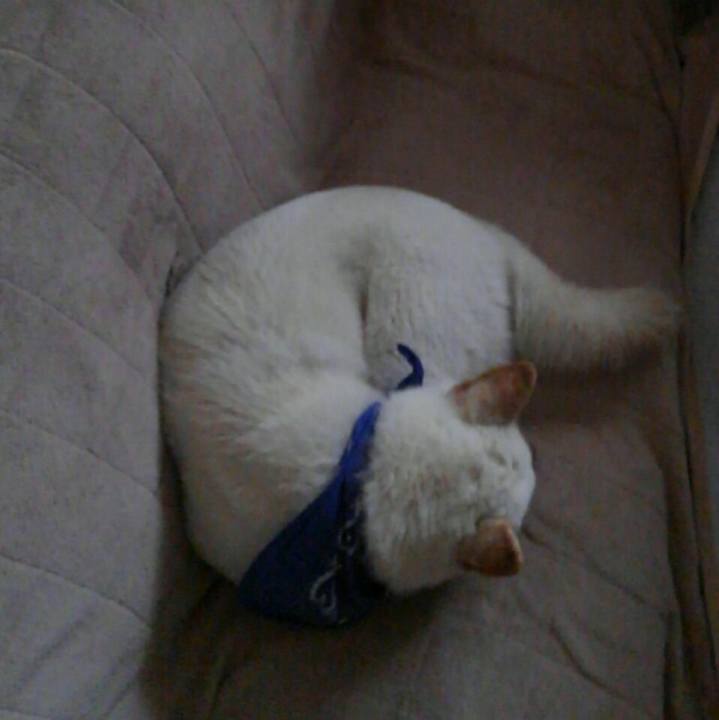 56ed1533 b247 4f0c 9153 207be1d1001d