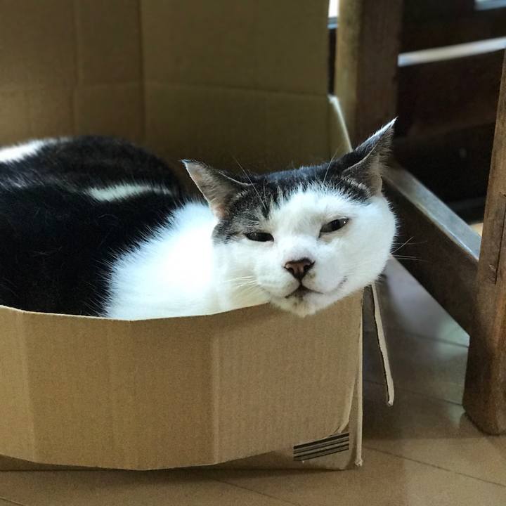 56ed2211 bc04 449c b0ee 943bdaf872c5