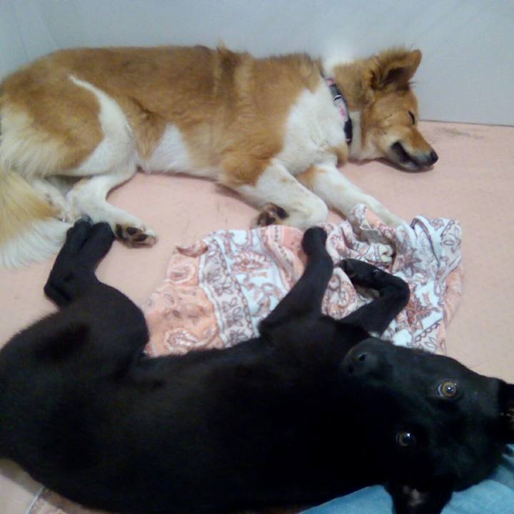 56ed37d9 9e14 4835 8847 300d5d057081