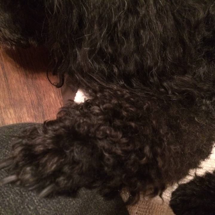 56ee21bd a7ec 46ee bf8b 4d89a7dac149