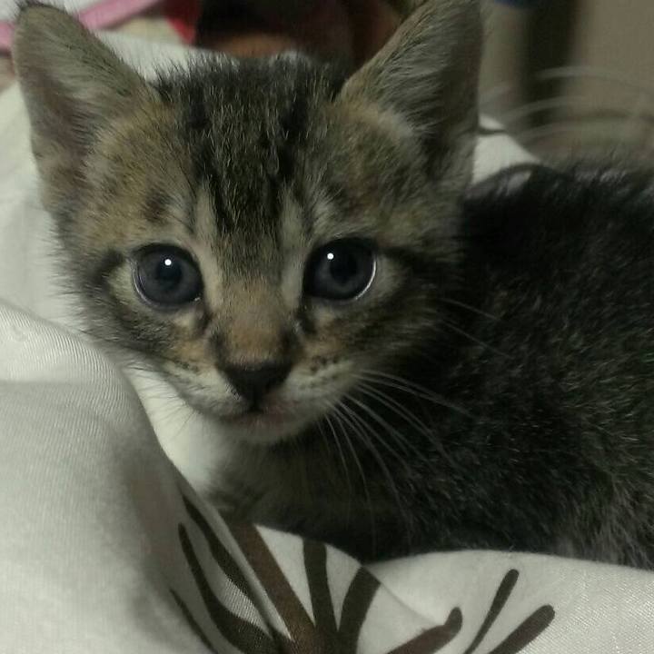 56eeaf16 e32e 4462 be9a a9b11b33d5bd