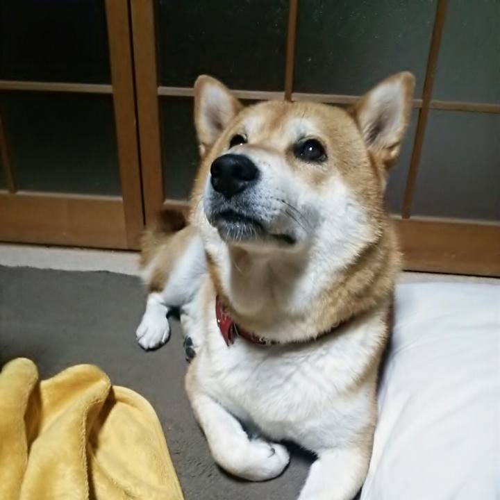 56eeed93 57a2 4ff4 a0da 4bc81ae8425f