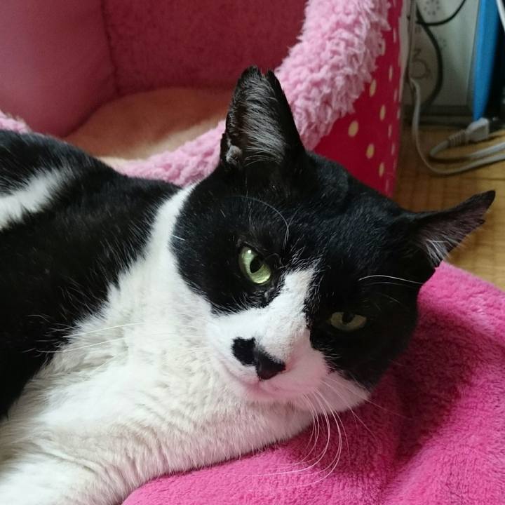 56eeef75 6f1c 4788 bccb 4b264a2464af