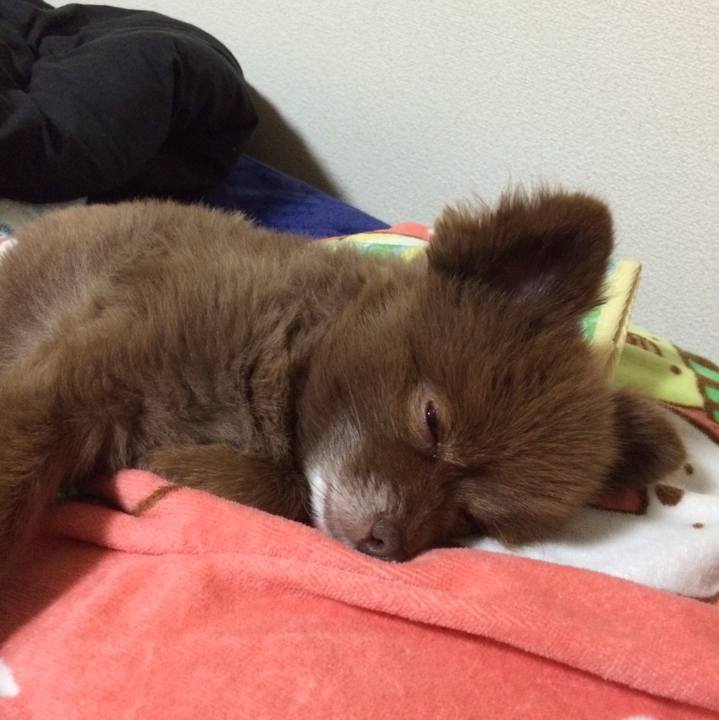 56ef27b2 ba7d 416f bbb3 2478734ec724