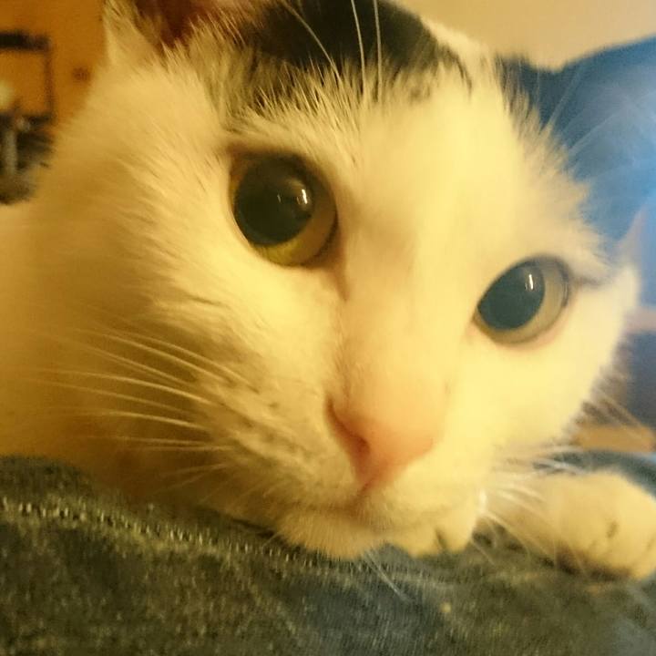 56f0164e cb80 4c90 b8bc 50769b36a9c6