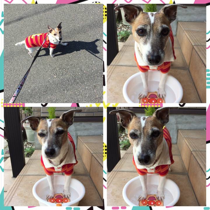 56f08479 a955 4f76 a4f7 b81602a4e200