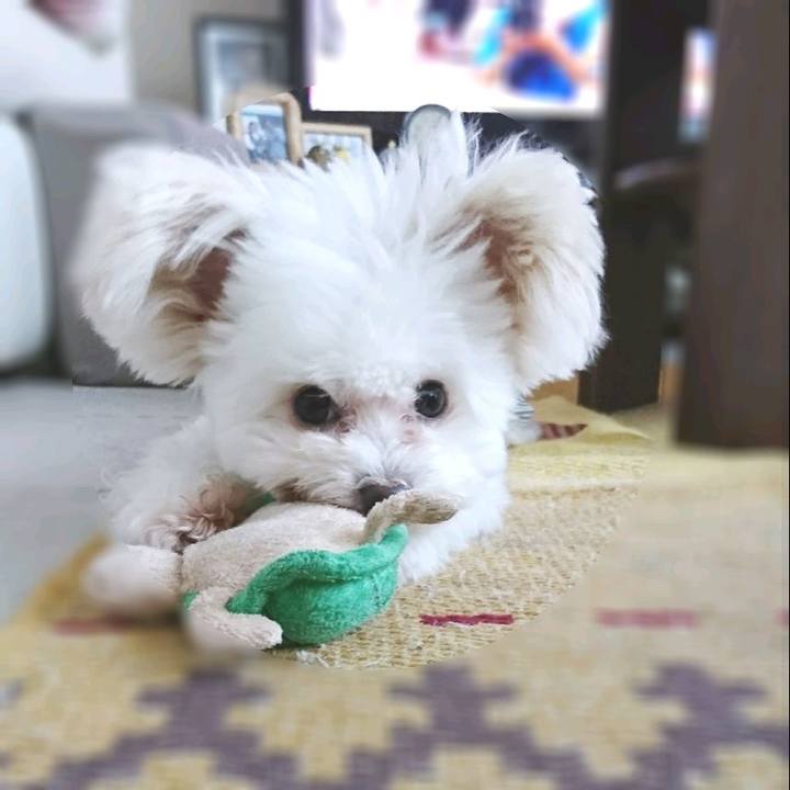 56f0be18 7f70 4777 94a8 33cd0f3a1e9b