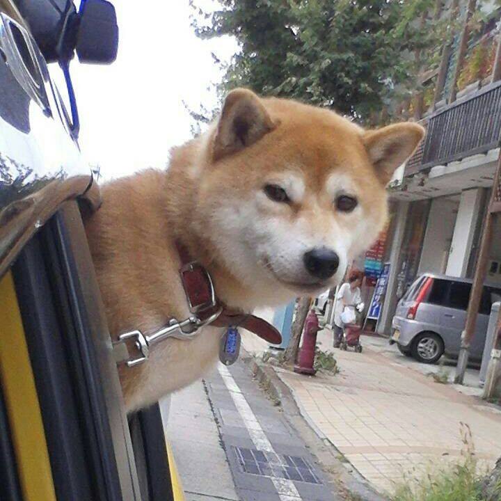 56f0c1fe aa54 4f61 b11f 27532cfbcb3a