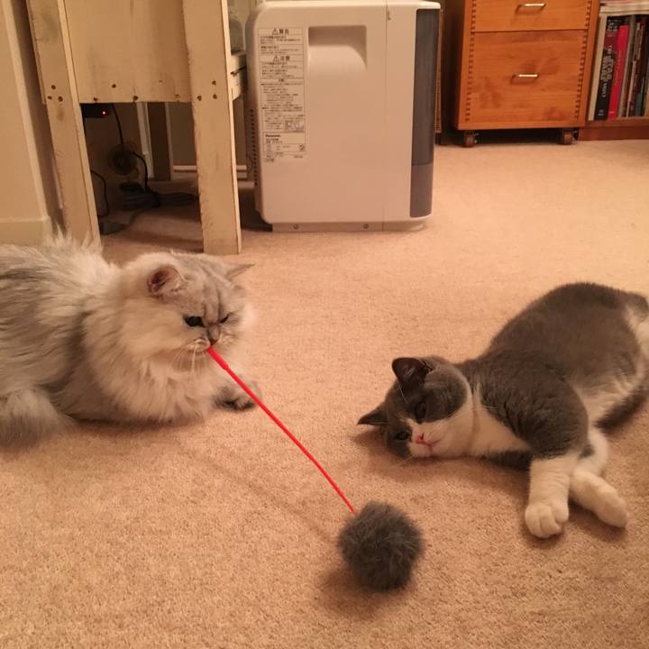 56f1fe79 9a5f 48be a49d 59c0db726978