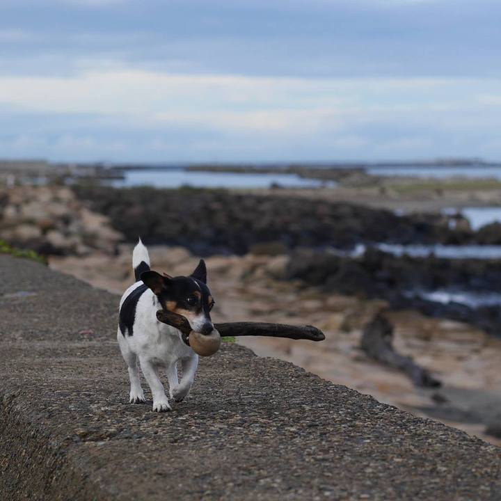 56f2179d efec 4f89 9ba2 45e3fbfd2446