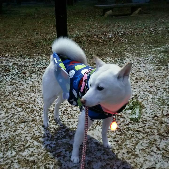 56f25608 a3a1 4298 866c b5eef26a9551