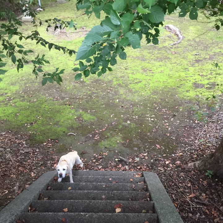 56f287e9 91a2 45d5 956a 9366698d4119