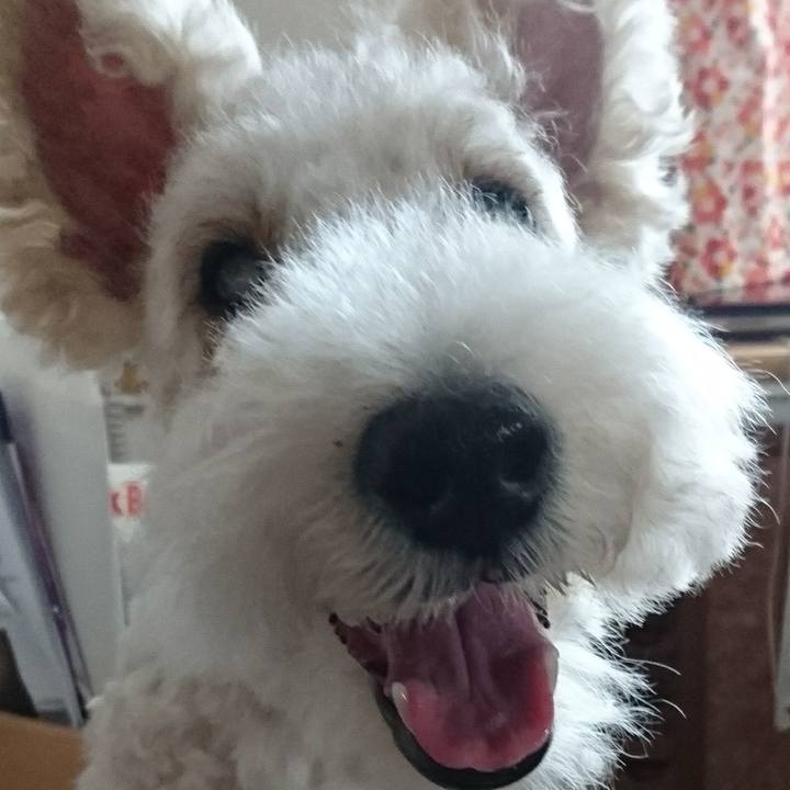 56f2c17e 9562 454c b10d bc5fbc50a7f9