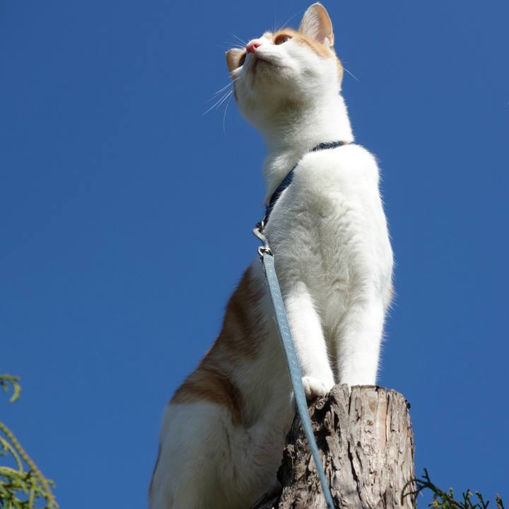 56f2dc74 a173 43ac 9141 c866e6f3beeb