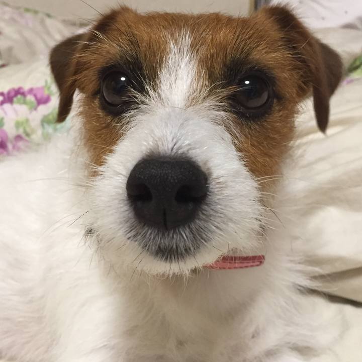 56f32d6a 34c6 4ac1 9af8 bad3ce44cdd5