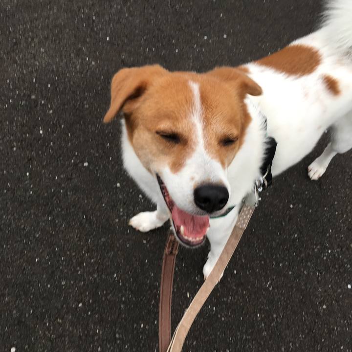 56f33a5b e5da 484e bead 8c747898031c