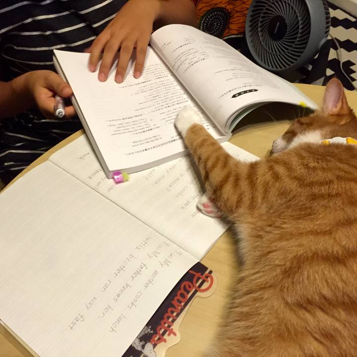 56f36417 b96d 49ae 9d91 1bb847af654f