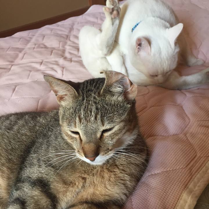 56f3937f 5a60 4e53 a5ec f8d6c320973e